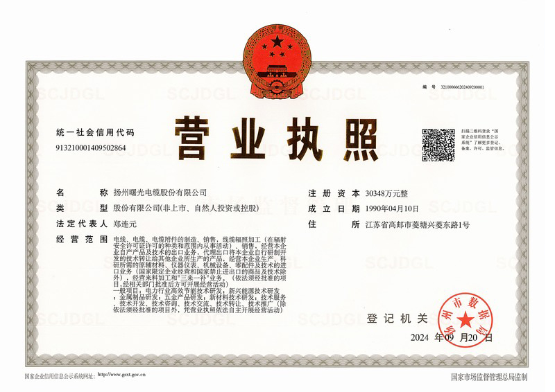 营业执照正本（20240920）.jpg
